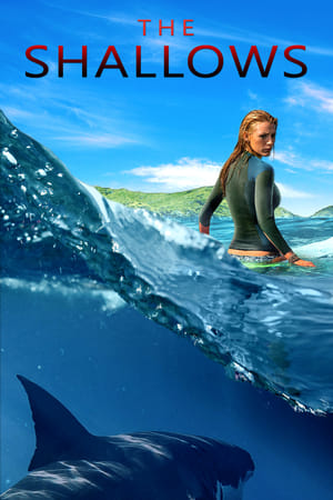 The Shallows 2016 Dual Audio (Hindi) [1GB] Movie Poster