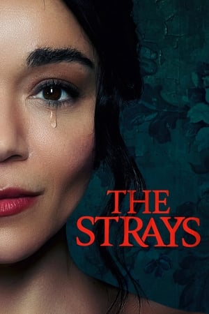 The Strays 2023 Hindi Dual Audio – Movie Poster
