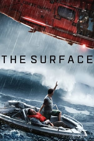 The Surface (2014) Hindi Dual Audio 300MB Movie Poster