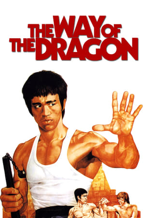 The Way of the Dragon (1972) Hindi Dual Audio [940MB] Movie Poster