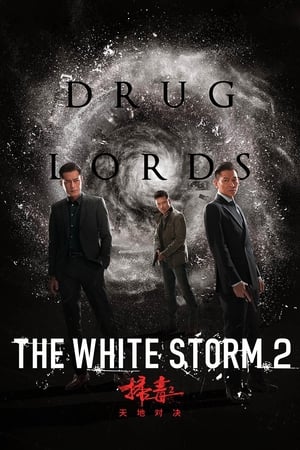 The White Storm 2: Drug Lords (2019) Hindi (Org) [950MB] Movie Poster