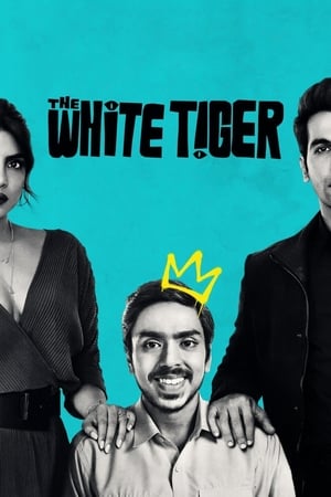 The White Tiger (2021) Hindi Movie – [370MB] Movie Poster