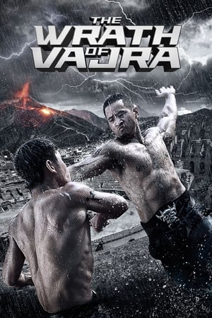 The Wrath of Vajra (2013) Hindi Dual Audio [900MB] Movie Poster