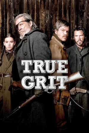 True Grit (2010) Hindi Dual Audio [950MB] Movie Poster