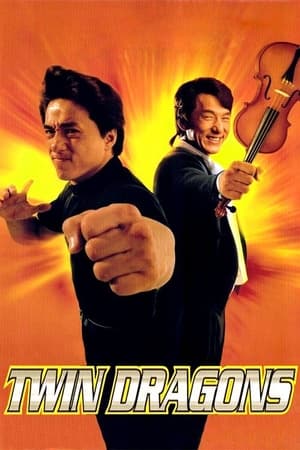 Twin Dragons (1992) 100mb Hindi Dual Audio movie Download Movie Poster