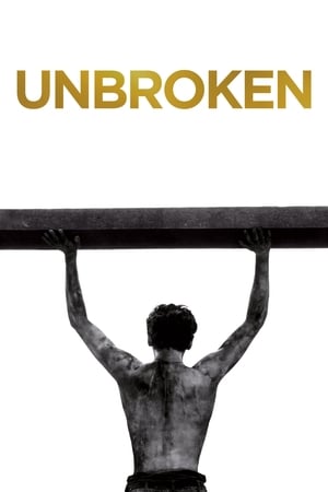Unbroken (2014) Hindi Dual Audio 450MB Movie Poster