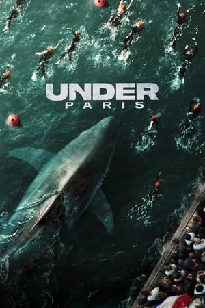 Under Paris 2024 Hindi Dual Audio – 720p – Movie Poster