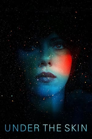 Under the Skin 2013 Hindi Dual Audio 350MB Movie Poster