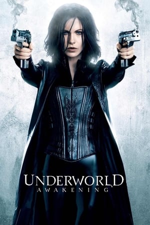 Underworld Awakening (2012) 100mb Hindi Dual Audio movie Download Movie Poster