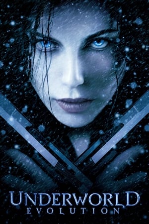 Underworld Evolution (2006) 100mb Hindi Dual Audio movie Download Movie Poster