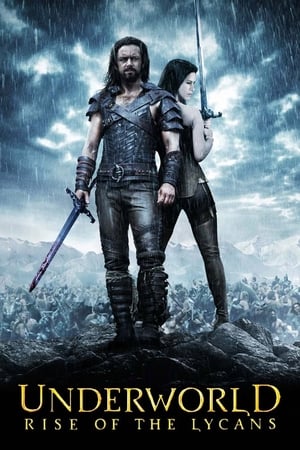 Underworld Rise of the Lycans (2009) 100mb Hindi Dual Audio movie Download Movie Poster