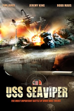 USS Seaviper 2012 Hindi Dubbed [1.1GB] Download Movie Poster