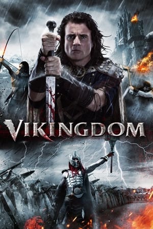 Vikingdom 2013 Hindi Dual Audio 380MB Movie Poster