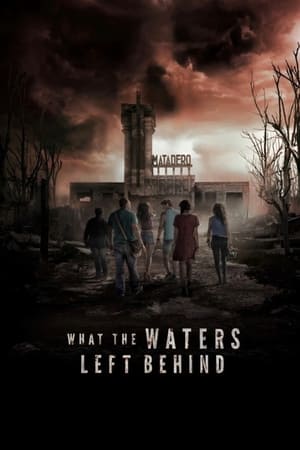 What the Waters Left Behind 2017 Hindi Dual Audio – Movie Poster