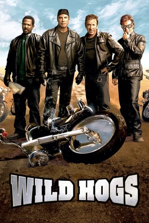 Wild Hogs (2007) Hindi Dual Audio [750MB] Movie Poster