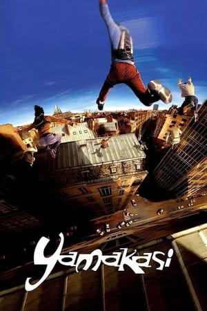 Yamakasi 2001 Hindi Dual Audio [980MB] Movie Poster