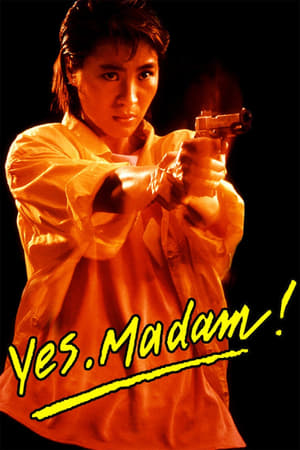 Yes Madam 1985 300MB Hindi Dubbed Download Movie Poster