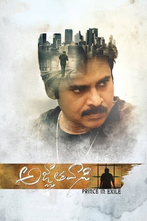 Yevadu 3 (Agnyaathavaasi) 2018 Movie Dual Audio Hindi [1.5GB] Movie Poster