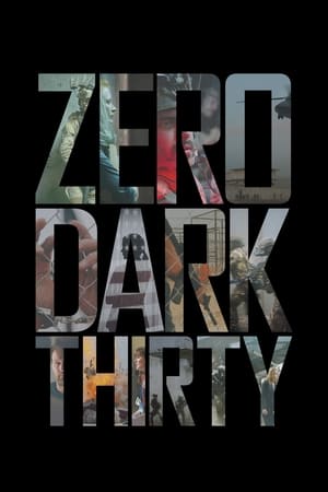 Zero Dark Thirty 2012 Hindi Dual Audio 450MB Movie Poster