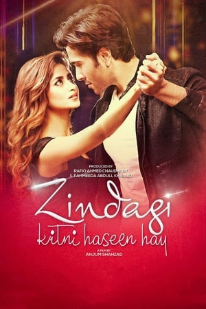Zindagi Kitni Haseen Hay (2016) Pakistani Movie Download Movie Poster